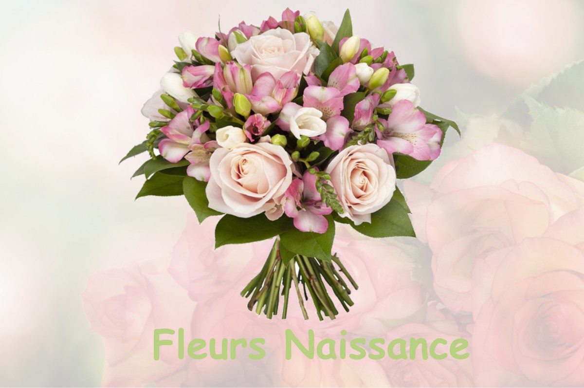 fleurs naissance EUVILLE