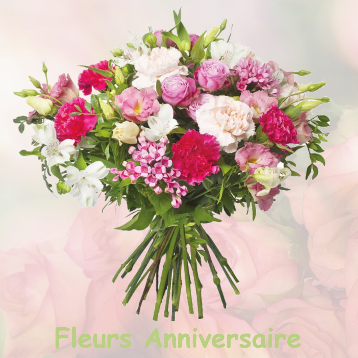 fleurs anniversaire EUVILLE