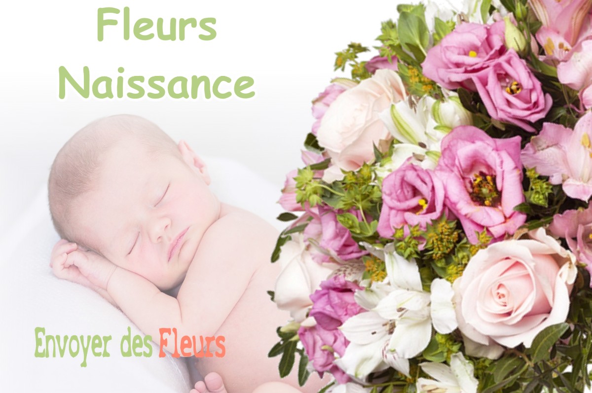 lIVRAISON FLEURS NAISSANCE à EUVILLE